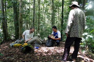 lunch in the jungle