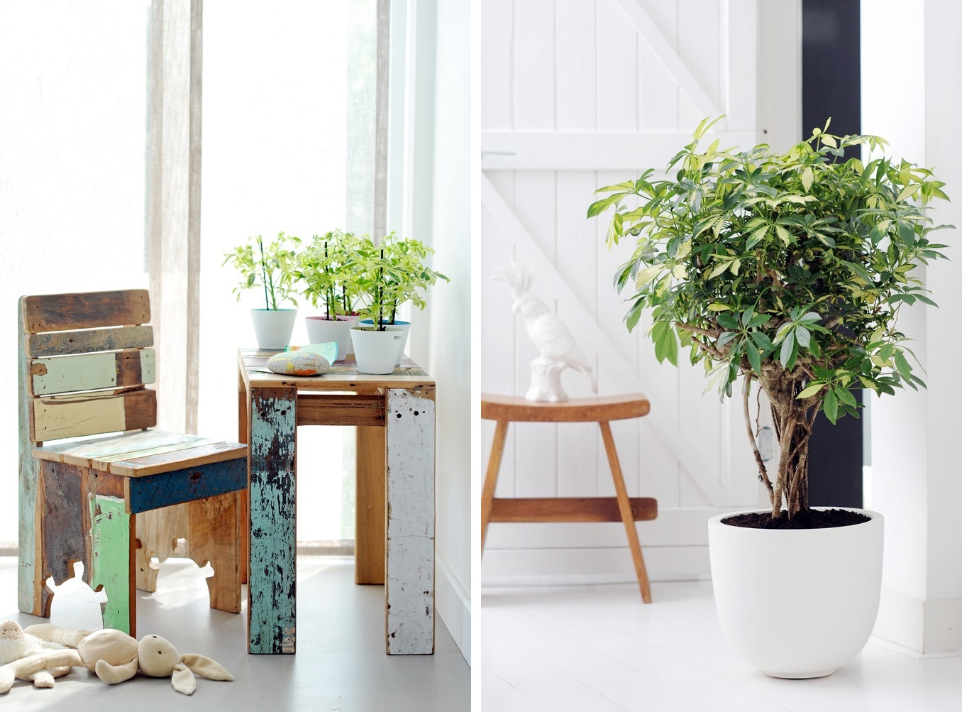 Planten woonkamer: decoratie planten woonkamer kleine inrichten i ...