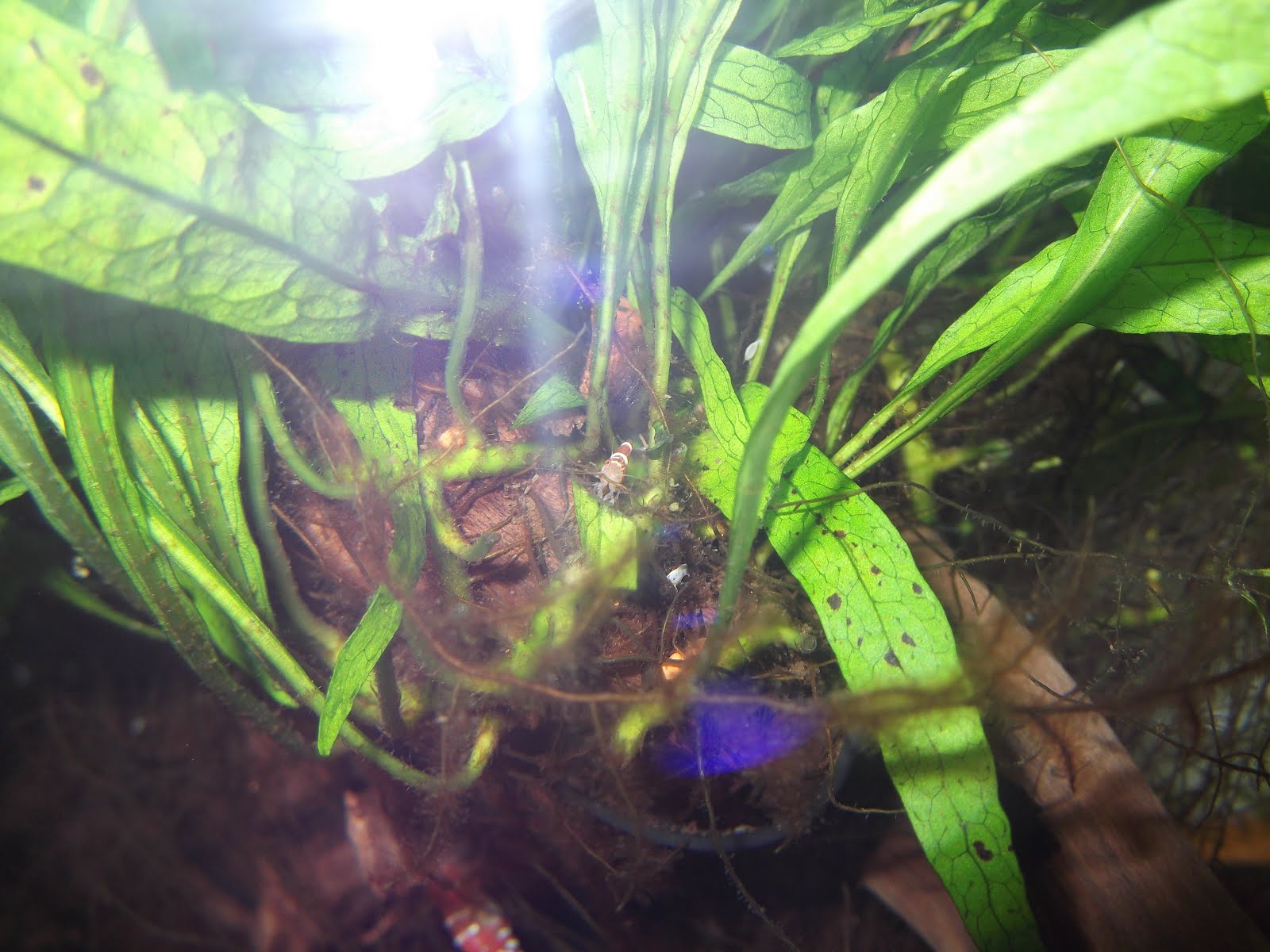 DSCF3903.JPG