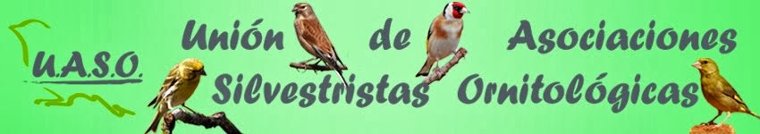 Blog de U.A.S.O. - Unión de Asociaciones Silvestristas Ornitológicas