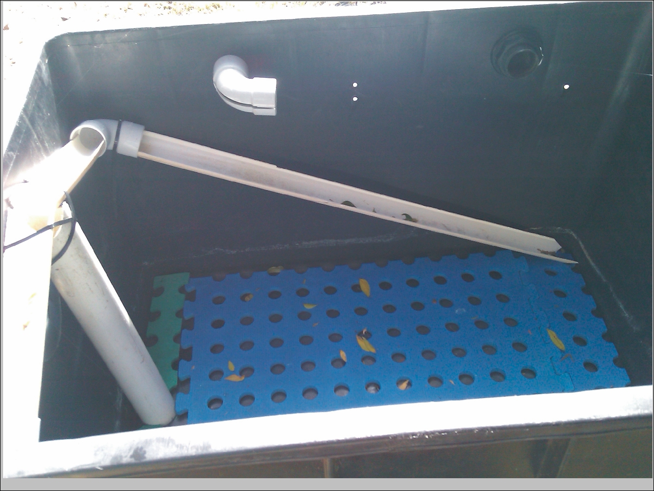  Piggabeen Valley Aquaponics Black Soldier Fly Harvester DIY