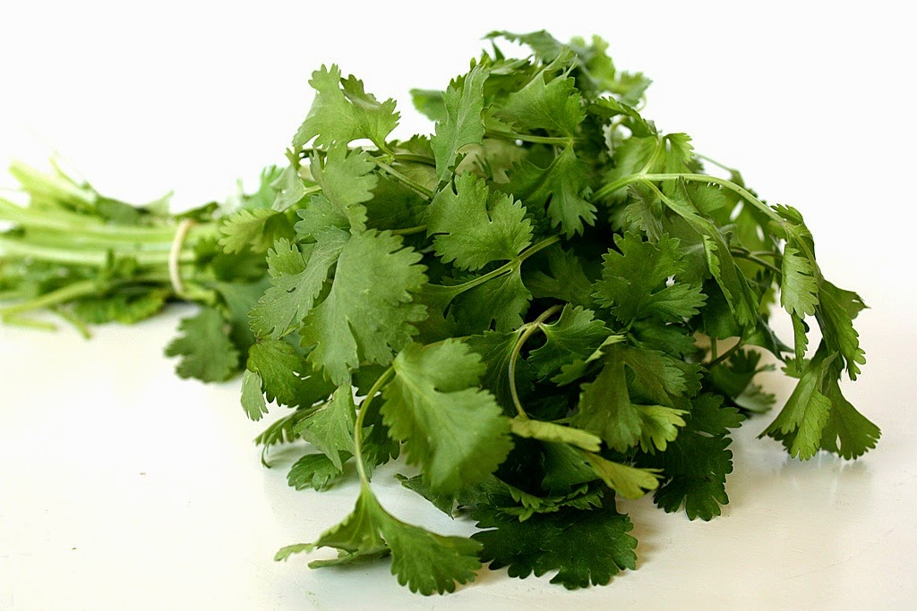 New Research Shows Cilantro can Remove Lead, Copper, Mercury from Tap Water