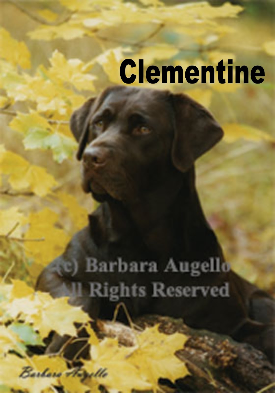 chocolate lab dog flag chocolate lab dog flag