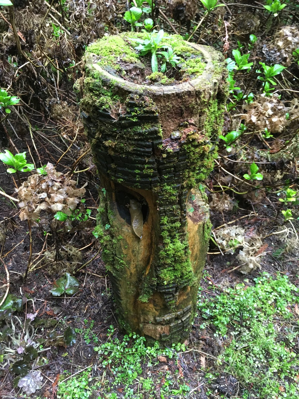 More pacific northwest patina.