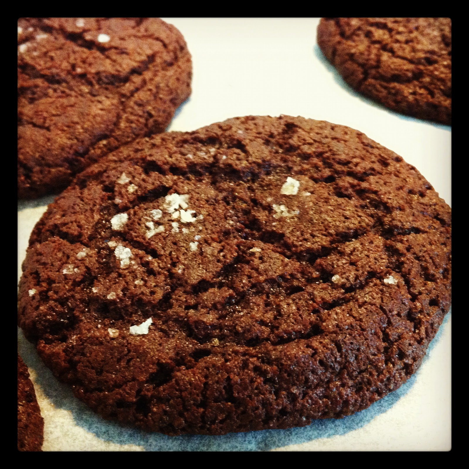 Recipe Double Dark Chocolate Cookies {with Sea Salt} the adventures