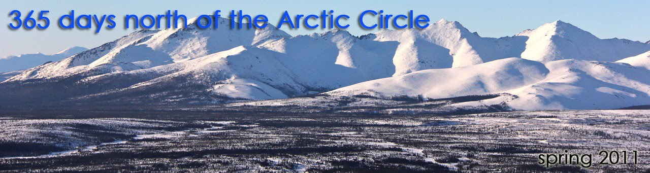 365 days above the Arctic Circle