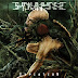 Synapses - Expiation 2012