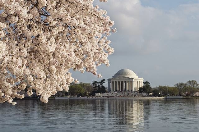 [Image: North-America-USA-Washington-DC-thumb.jpg]