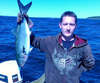 bluefish bite bluefish bite