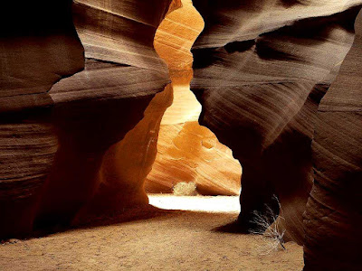 la pensée du jour : spiritualité et célébrité dans mystique sagesse caverne