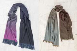 Alex Begg & Company rebrands & launches e-commerce site