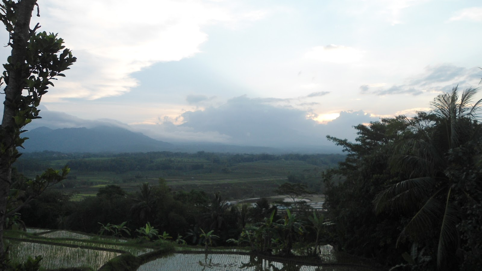 Pemandangan Alam Sawah Dan Gunung Nan Alami Di Secang At Wisata Pemandangan Alam Sawah Dan Gunung Nan Alami Di Secang At Wisata