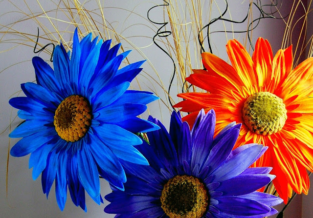 Blue Flowers