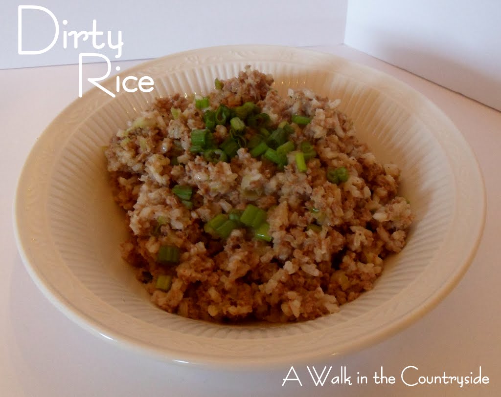 A Walk in the Countryside Dirty Rice For the Recipe Box