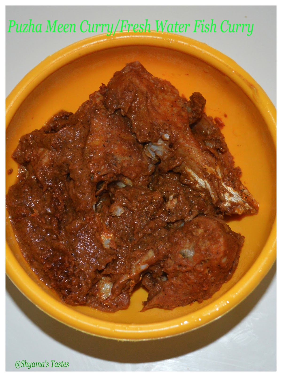 Shyama's Tastes Puzha Meen Curry/Fresh Water Fish CurryEasy Recipe