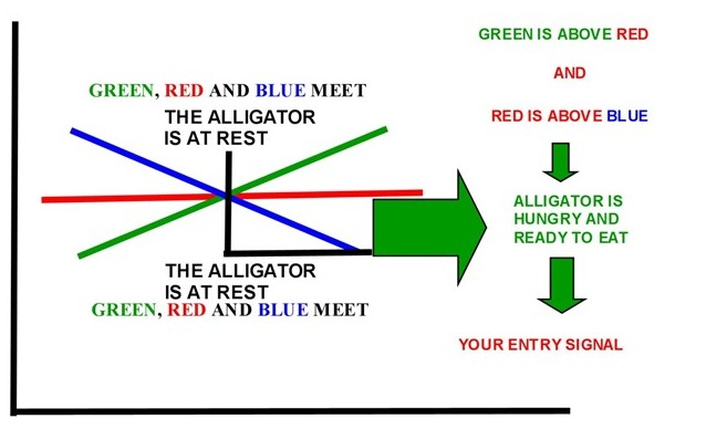 Alligator indicator forex trading