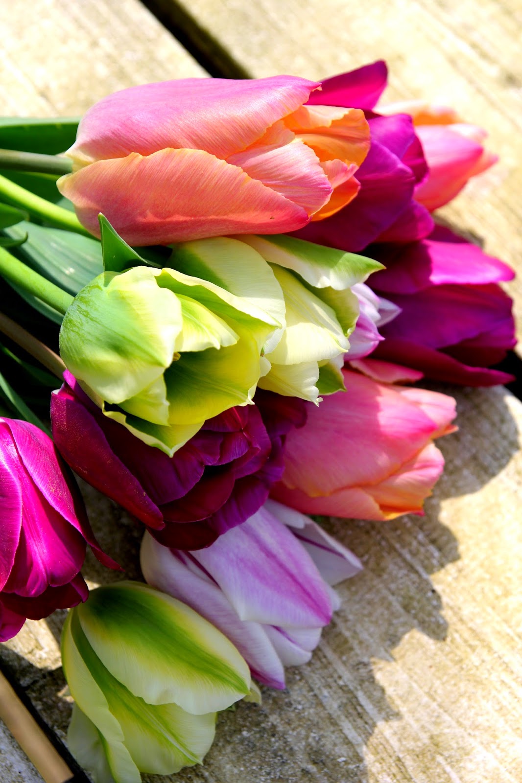 Madelief A bunch of tulips