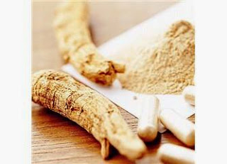 ginseng ginseng