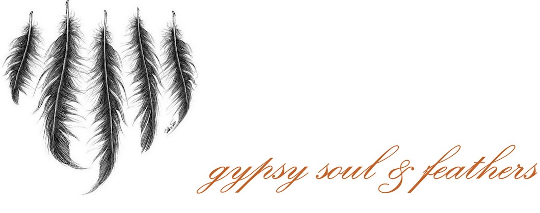 gypsy soul and feathers