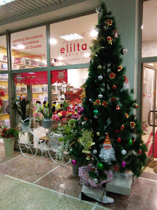 Florist shop in Dembel Mall