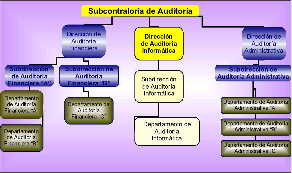ESTRUCTURA INFORMATICA estructura informatica: