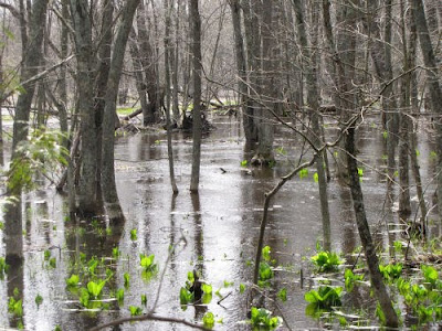Pere Marquette River