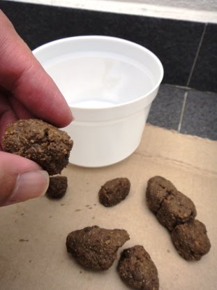 Dried Poop