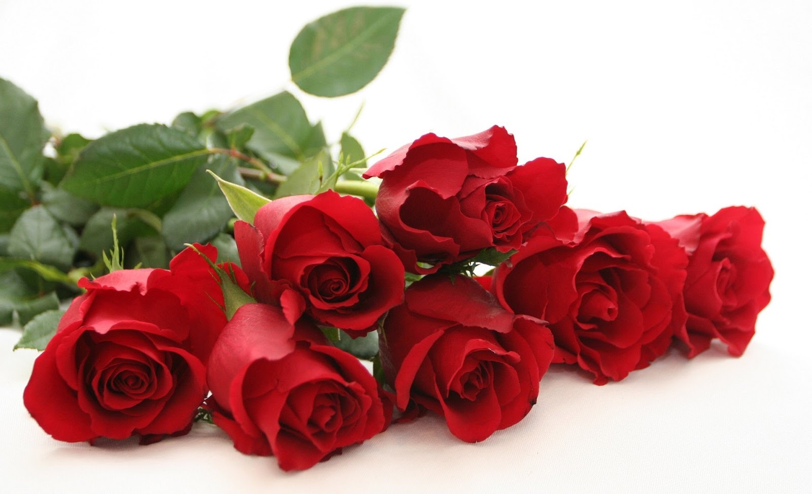 http://4.bp.blogspot.com/-7RTZXz24k48/URI3aUQH5yI/AAAAAAAAA0Q/njnNnoYGM6g/s1600/happy-rose-day-rose-images-2013.jpg