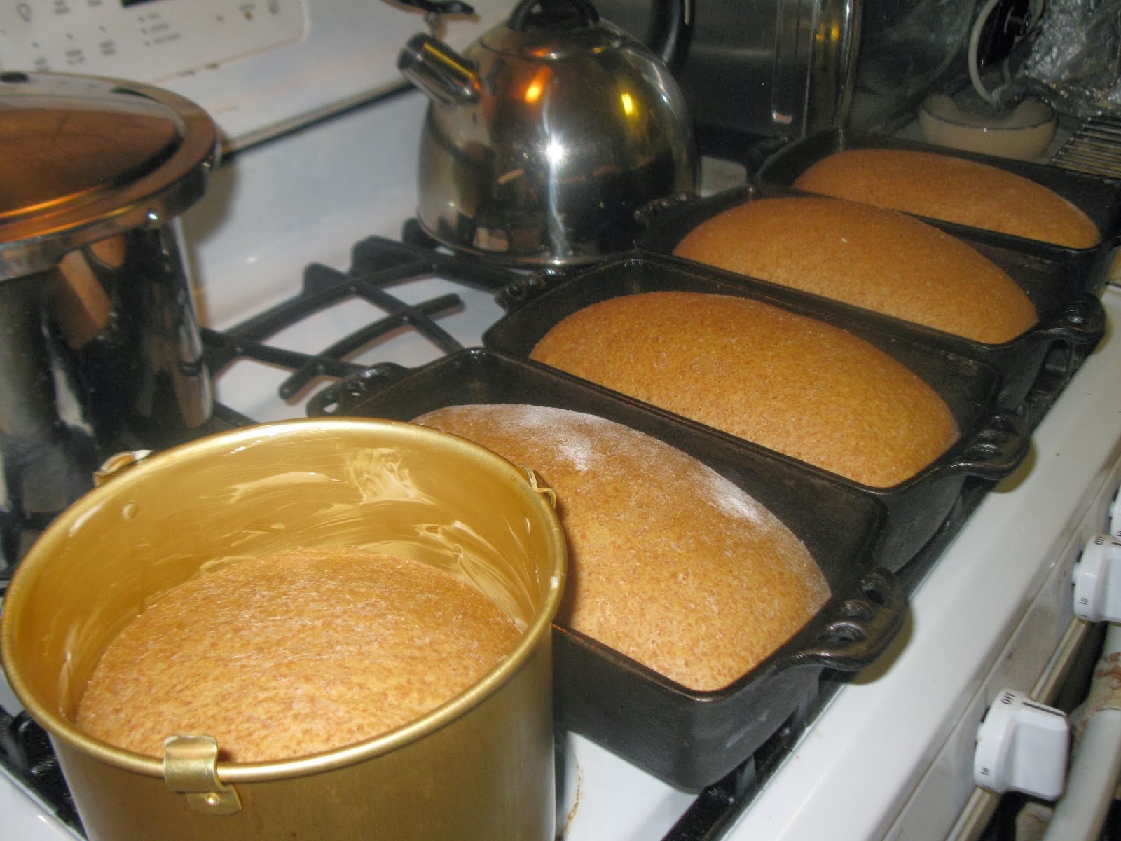 Simply Homemaking Pressure Cooking Chapter 3