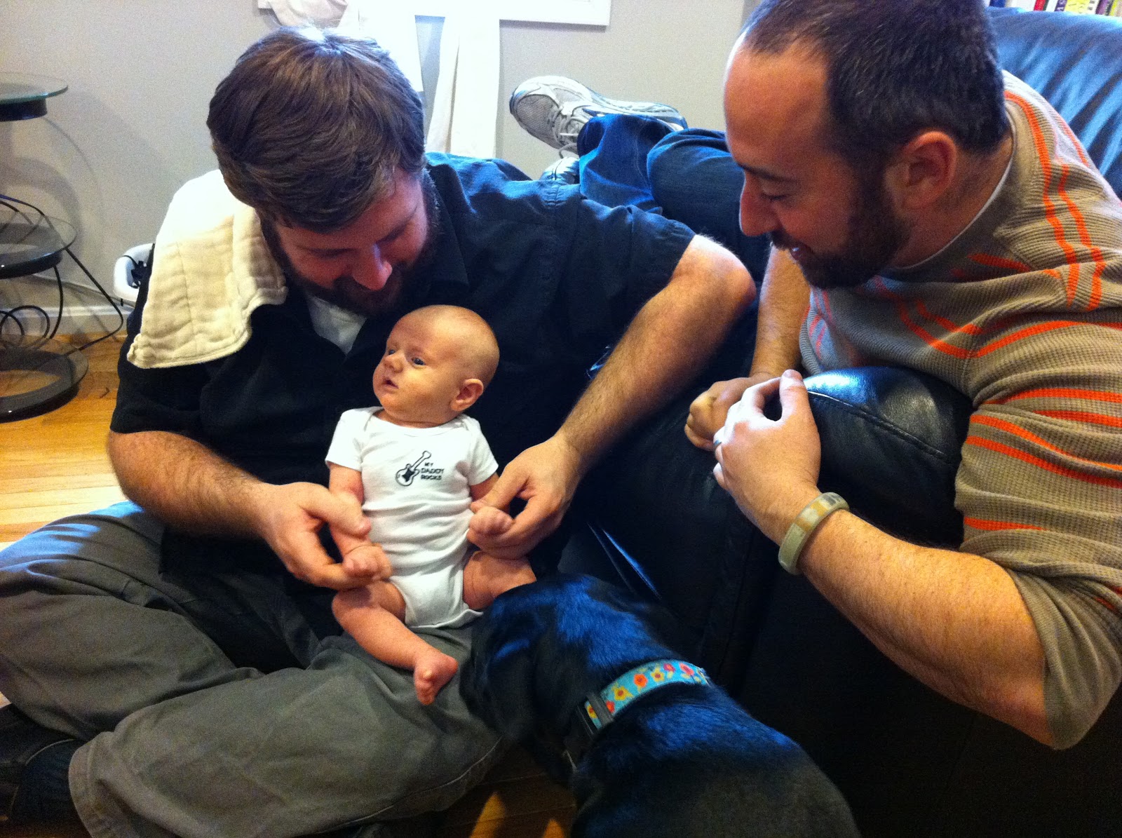 Hello Baby Baby Training