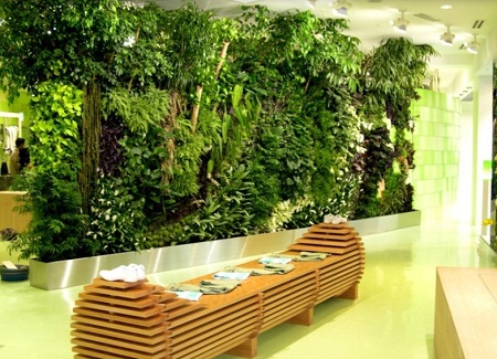 EcoNotas.com: Fabrica tu Jardín Vertical, Decora el Interior de tu