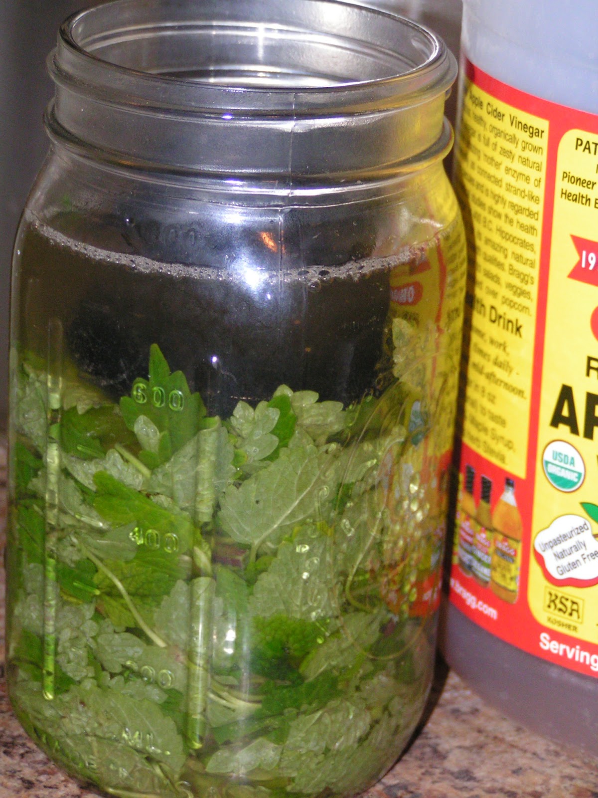 Blue Viola Farm Natural, nontoxic mosquito spray