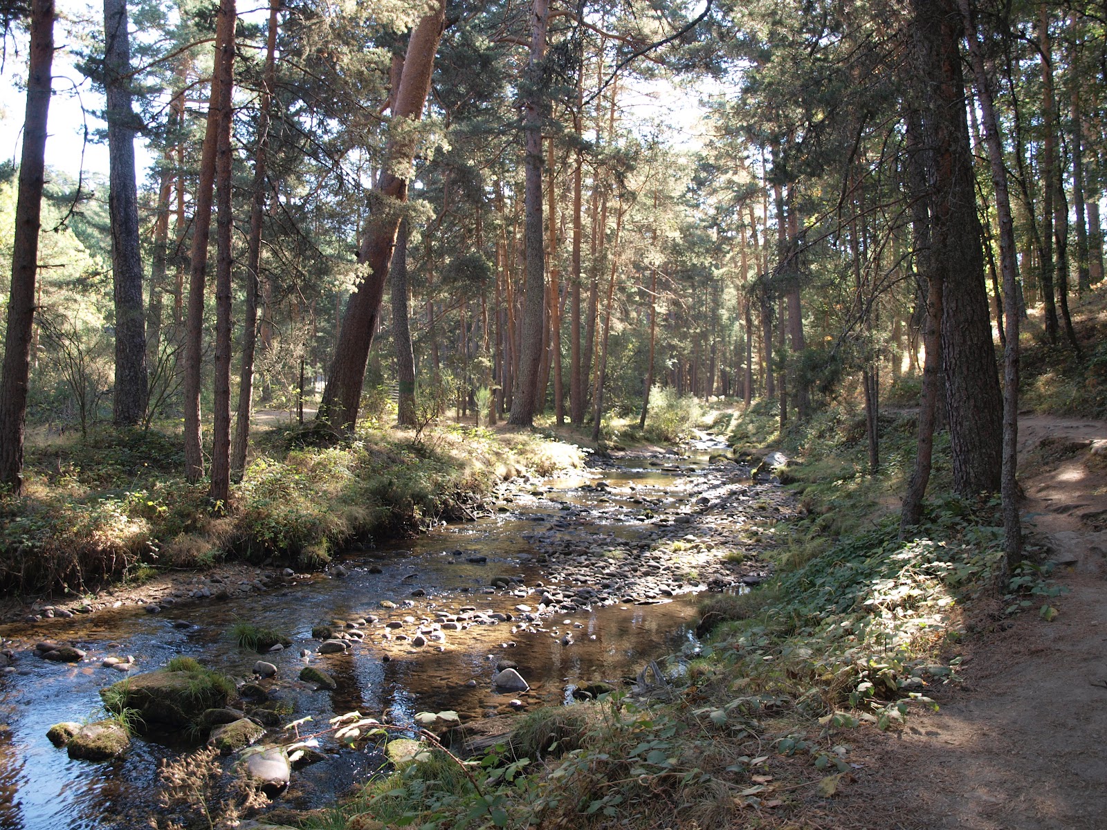 Mi familia y otros animales: Boca del Asno (Segovia)