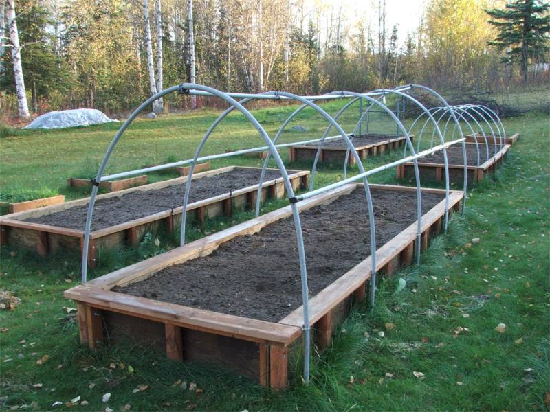 Wasilla Alaska Garden Adventures Another Alaska Garden Season Ends