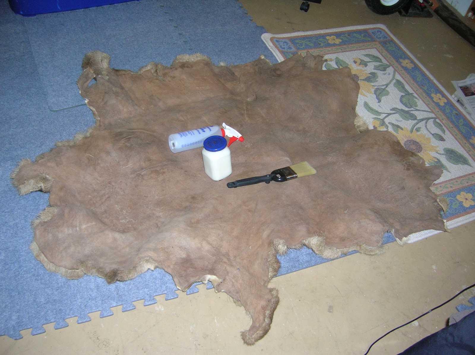 Musings of Musang Softening the bark tanned deer hide