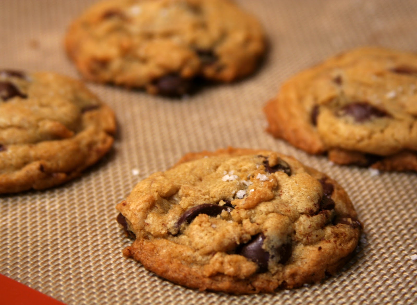 Culturally Confused Martha Stewart Jacques Torres' Secret Chocolate