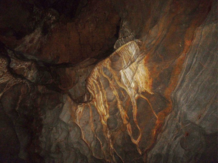 Poinsettia 6459 Peppersauce Cave, Oracle Arizona