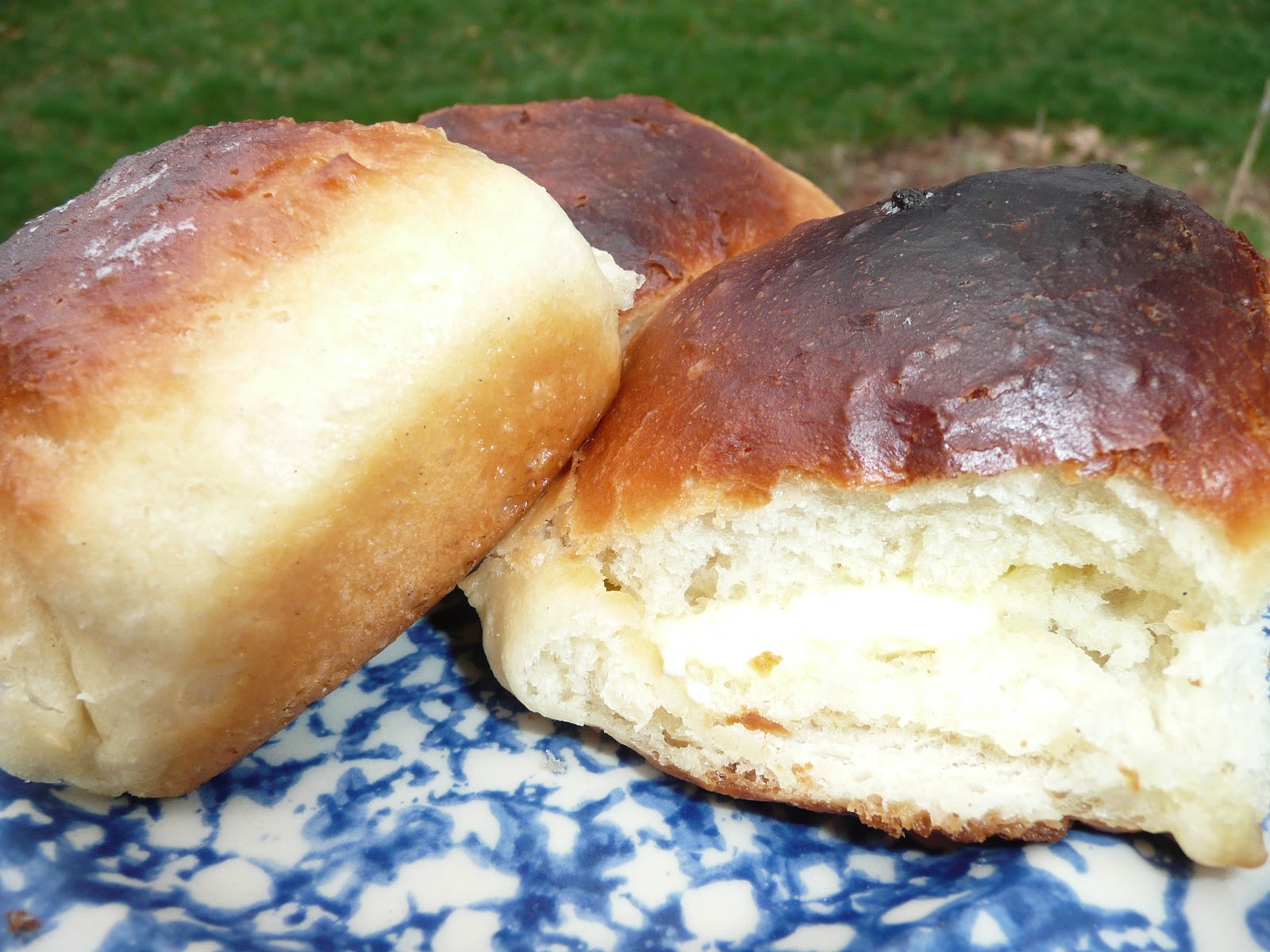 Everyday Dutch Oven Classic Dinner Rolls