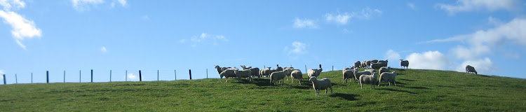 ニュージーランドの牧場