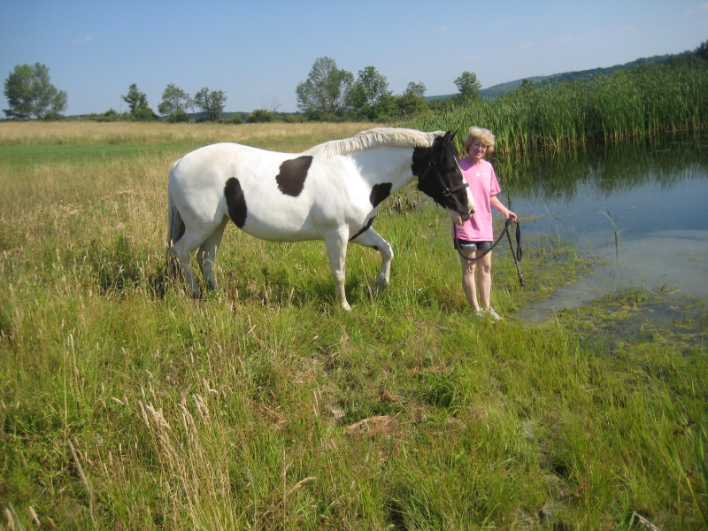 The Twin Tiers Horse: July 2011