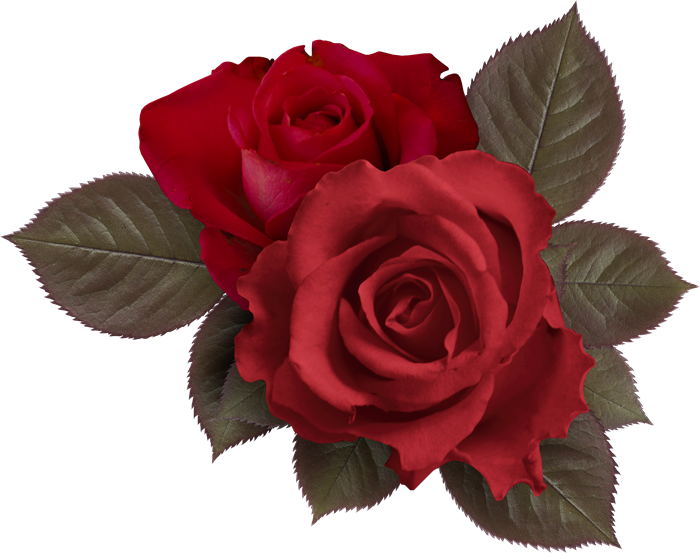 COSAS PARA PhotoScape: IMÁGENES PARA PHOTOSCAPE, PHOTOSHOP Y GIMP DE