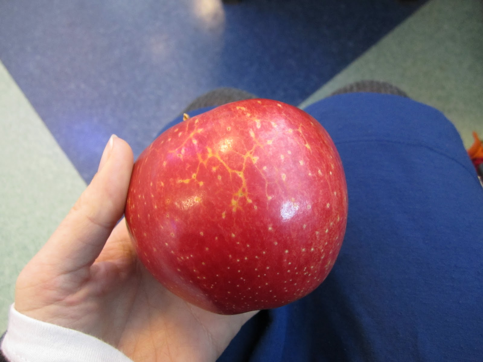 The Fruitectives Apple (Jonagold)