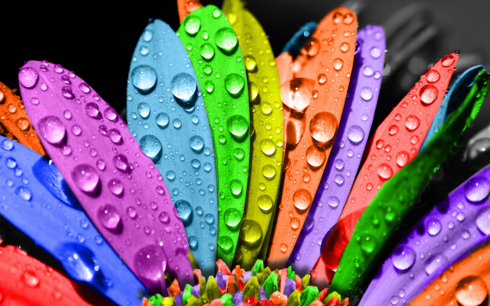 http://4.bp.blogspot.com/-7VfVfL1Jphg/TcqjrgHb-RI/AAAAAAAAChw/t2mL2rV1HiA/s1600/Wallpapers+of+Colours+and+Designs++%252811%2529.jpg