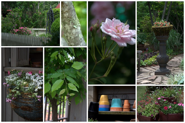 Collage of garden photos.