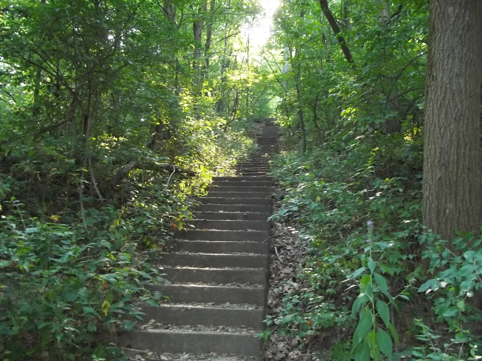 Ramble On Fort Creve Coeur