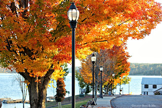 Fall Foliage Schroon Lake Adirondacks via www.goldenboysandme.com