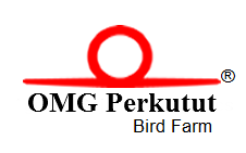 OMG Perkutut Bird Farm