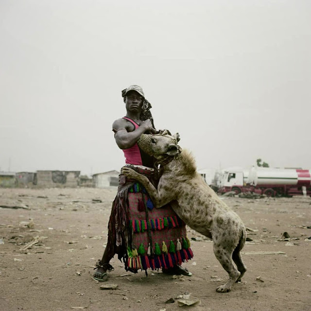 adiestradores de hienas de Nigeria