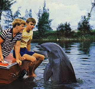 FLIPPER.