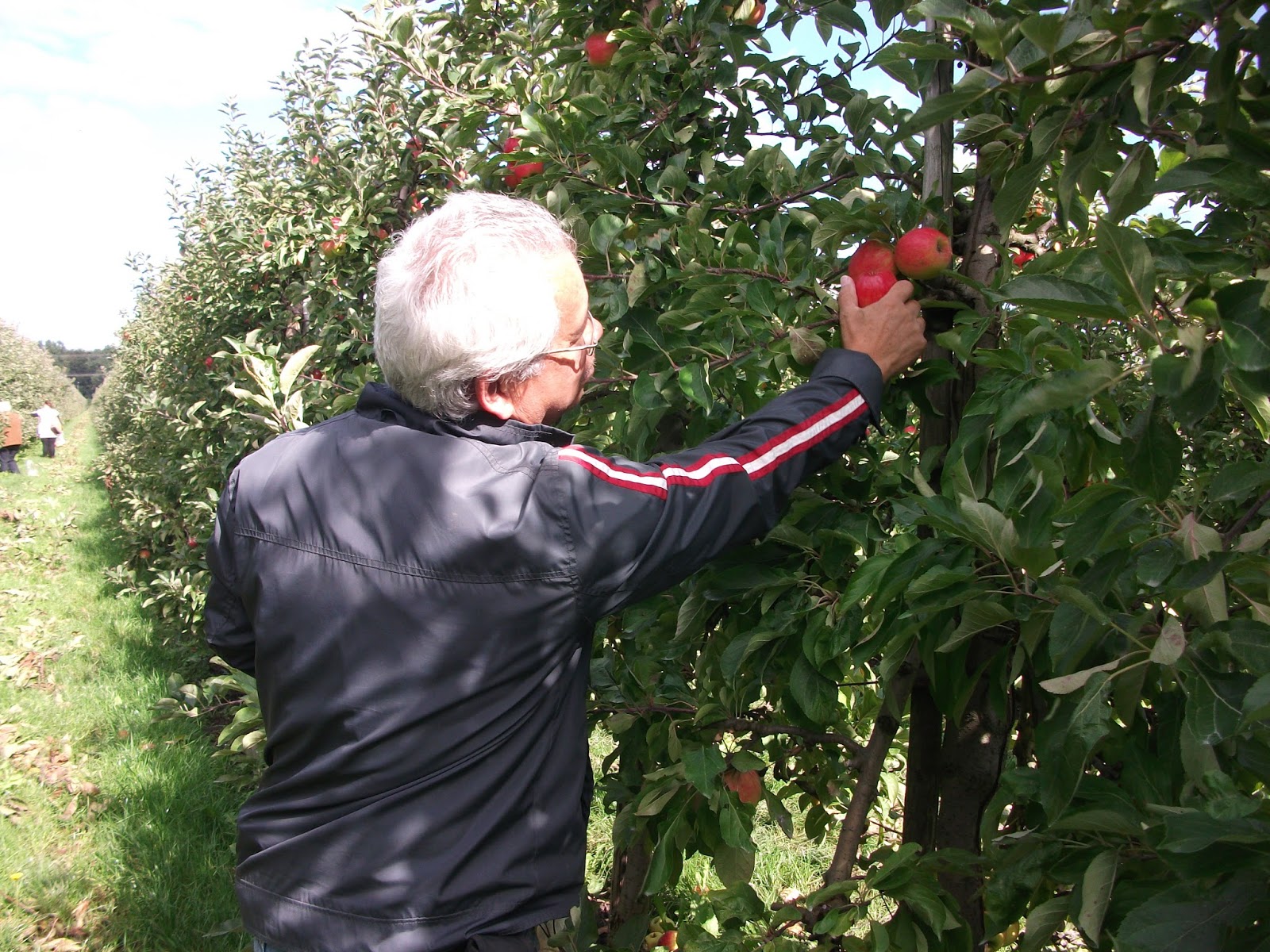 boze prostituees utrecht